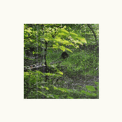 Valuable Gem EP