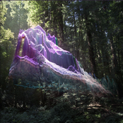 Air Texture VIII Anthony Naples + DJ Python