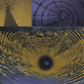 Dead Electric Evolution