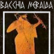 To the Twelve Gods of Olympus