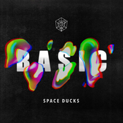 Basic - Single