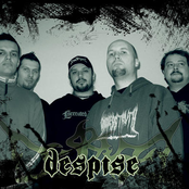 Despise