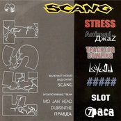 SCANG fest №3