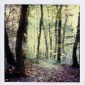 Around the day in eighty worlds