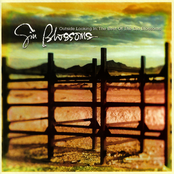 Gin Blossoms: Outside Looking In: The Best Of The Gin Blossoms