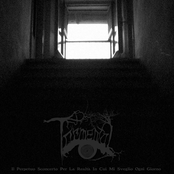 Il Perpetuo Sconcerto Per La Realtà In Cui Mi Sveglio Ogni Giorno