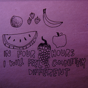 In Four Hours I Will Feel Completely Different