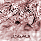 Assorted Debris I (1996-2001)