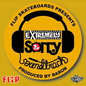 Flip Skateboard's Extremely Sorry Soundtrack
