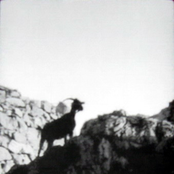 Sacred Ritual / Grimmd