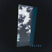 Ursine