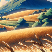 sunny day