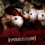 Masticate The Corpse / The Aftermath Of Human Carving