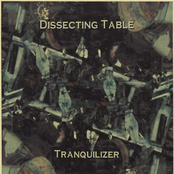 Paranoia And Its Pleasure by Dissecting Table