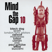 Mind The Gap Volume 10