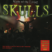 Summer Of Hate by The Skulls