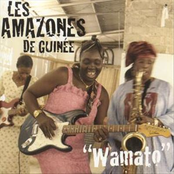 amazones de guinee