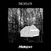 Fossil by Prurient