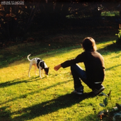 Folk Music Bandwagon