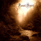 Forest Spirit