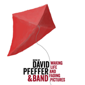 Red Lights by David Pfeffer & Band