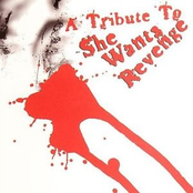 A Tribute To She Wants Revenge