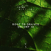 Root to Branch, Vol. 10