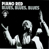 Everyday I Have The Blues by Piano Red