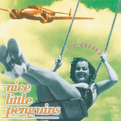 NICE LITTLE PENGUINS - Flying
