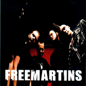 freemartins