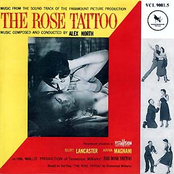 The Rose Tattoo