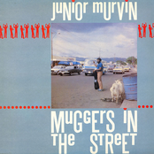 Muggers In The Street