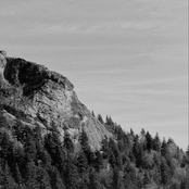 I Can See Your Bones