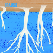 You Can Does Not Equal You Should