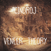 Veneer Theory