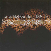 A Gothic Industrial Tribute to the Smashing Pumpkins