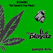 The Sound of True Playaz