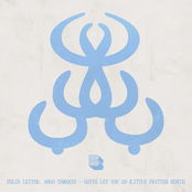 Gotta Let You Go (Little Fritter Remix)