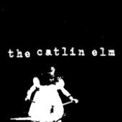 the catlin elm