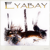 Keep their heads ringing