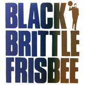 Black Brittle Frisbee