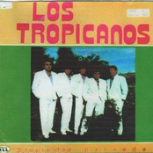 los tropicanos