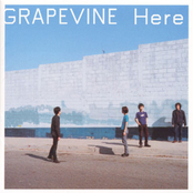 想うということ by Grapevine