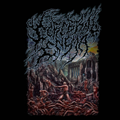 Br00tal Album Promo 2025