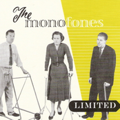 Have You Ever by The Monofones