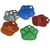 look ! my new feet   Bob Karel