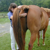 Hugs and Kisses