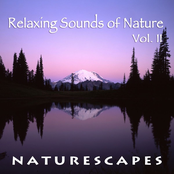 Relaxing Sounds of Nature, Vol. 2