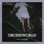 Orchidworld