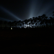 gloria likes electro